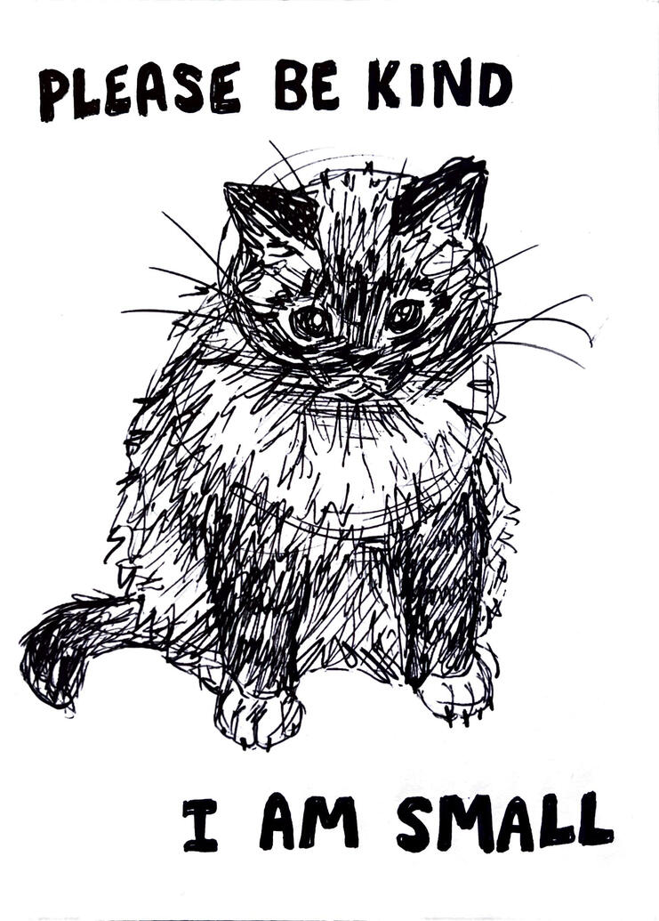 be kind traditional (2024)